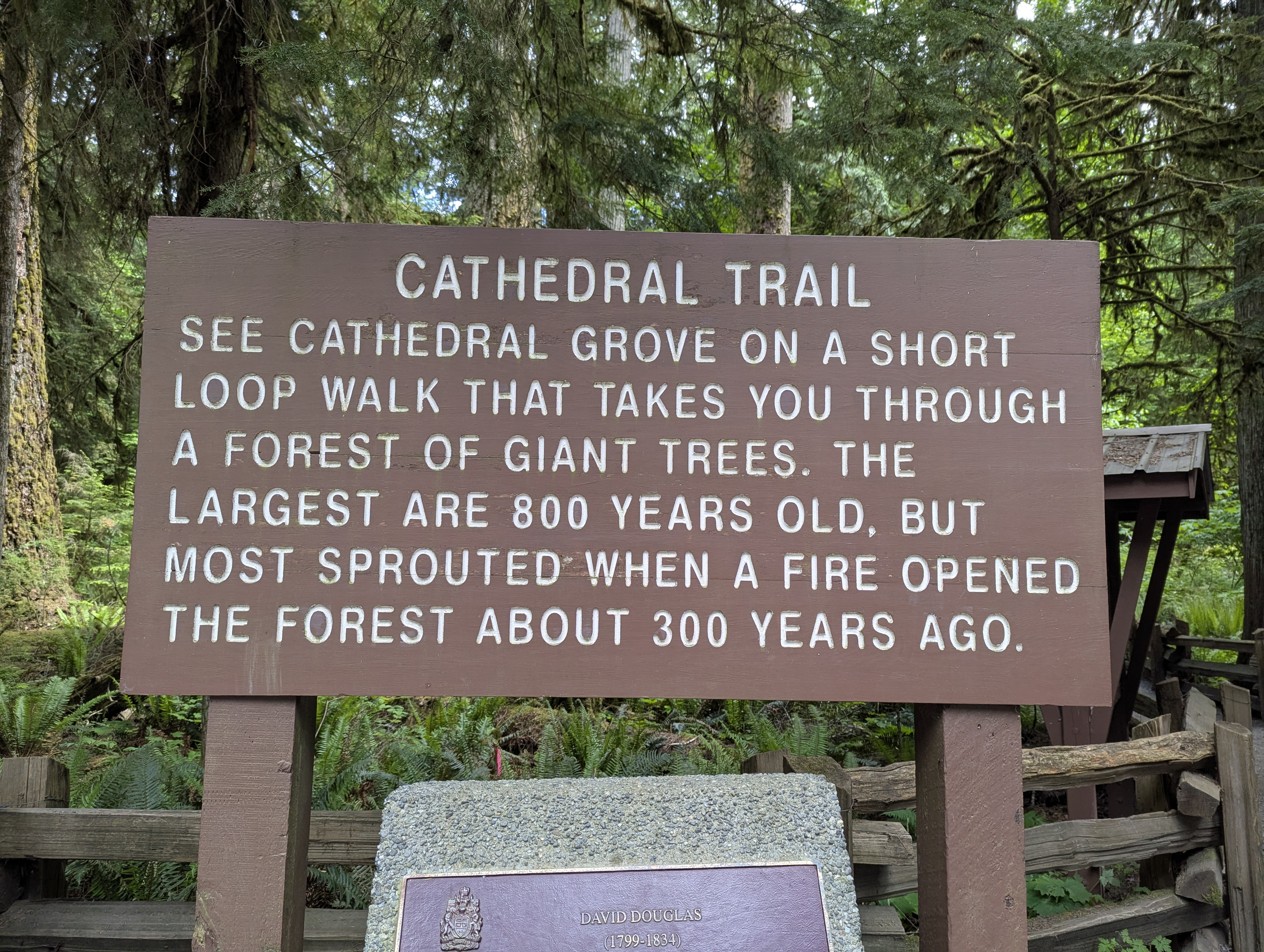 Birthday Trip to Canada, Cathedral Grove, Vancouver Island